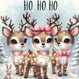 Sublimation Wrap / Print 20oz Tumbler - X5001 Ho Ho Ho