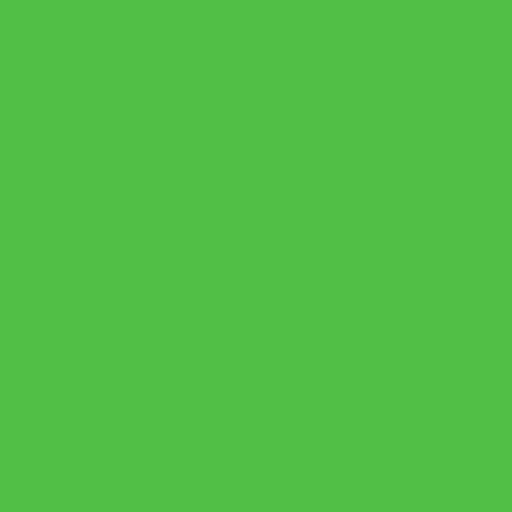 Siser EasyPSV Starling - Bright Green Matte 30cm x 1m (Permanent)