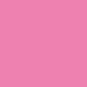 Siser EasyPSV Starling - Carnation Pink Matte 30cm x 1m (Permanent)