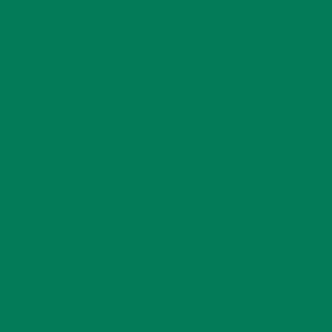 Siser EasyPSV Starling - Emerald Matte 30cm x 1m (Permanent)