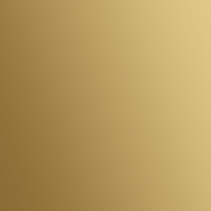 Siser EasyPSV Starling - Gold Gloss 30cm x 1m (Permanent)