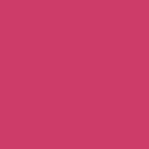 Siser EasyPSV Starling - Tropical Pink Matte 30cm x 1m (Permanent)