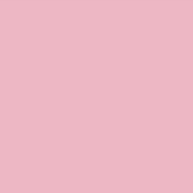 ORACAL 631 Removable - Carnation Pink 30cm x 1m Roll