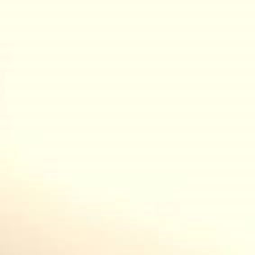 Siser P.S / Easyweed HTV - Pearl A4