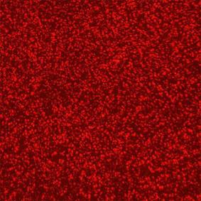 STAHLS Effect Holographic Sparkle Red HTV 50cm x 30cm Roll